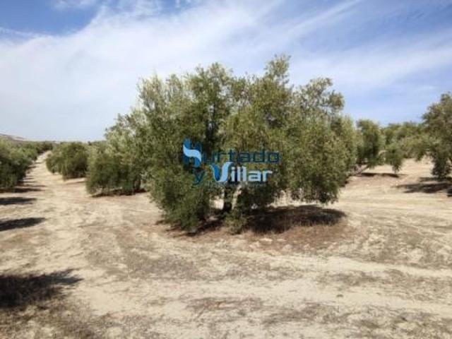 Chalet en venta en Torreperogil, Andalucía