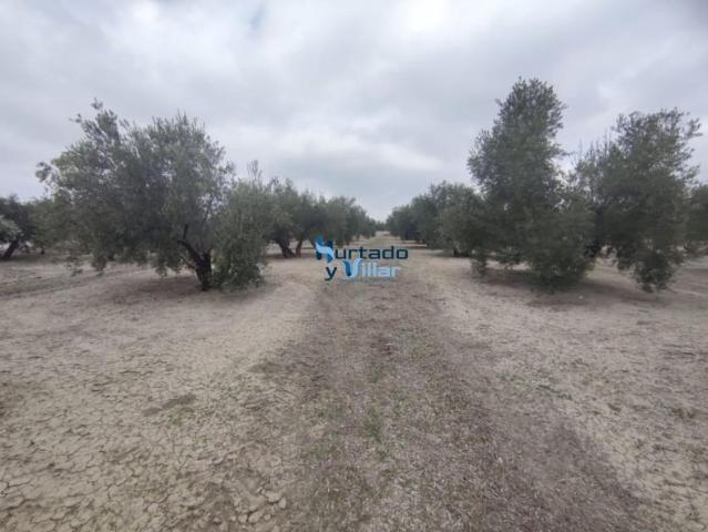 Chalet en venta en Torreperogil, Andalucía