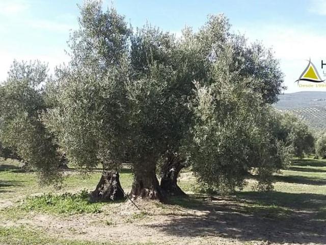 Chalet en venta en Torreperogil, Andalucía
