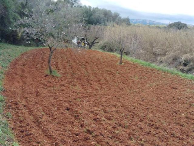 Chalet en venta en el Baix Maestrat, Valencia