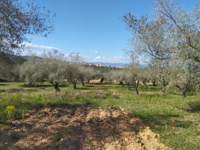 Chalet en venta en el Baix Maestrat, Valencia