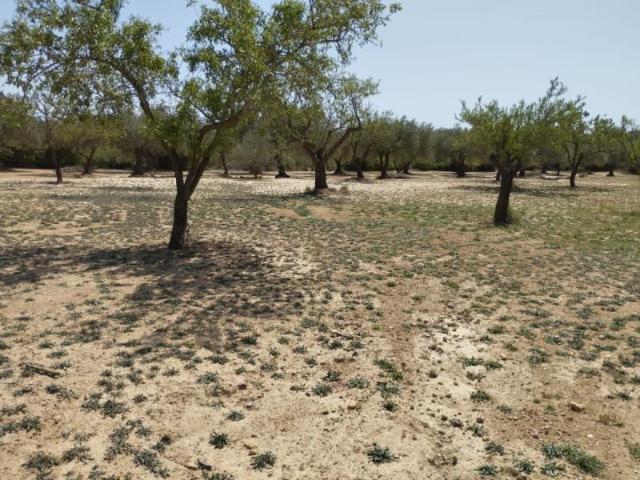Chalet en venta en el Baix Maestrat, Valencia