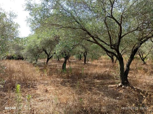 Chalet en venta en el Baix Maestrat, Valencia