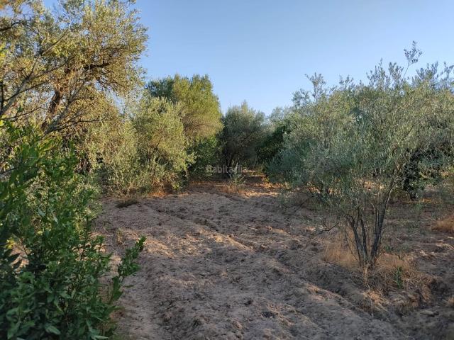 Chalet en venta en Utrera, Andalucía