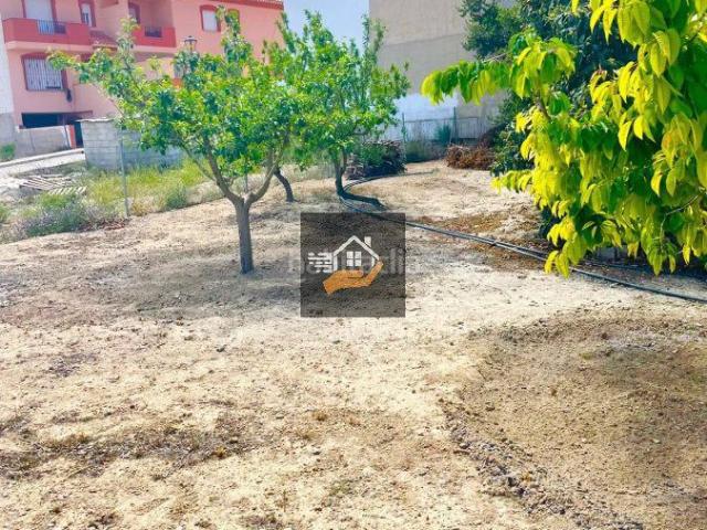 Chalet en venta en Pozo Ignacio, María