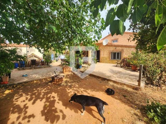 Chalet en venta en la Plana Alta, Valencia