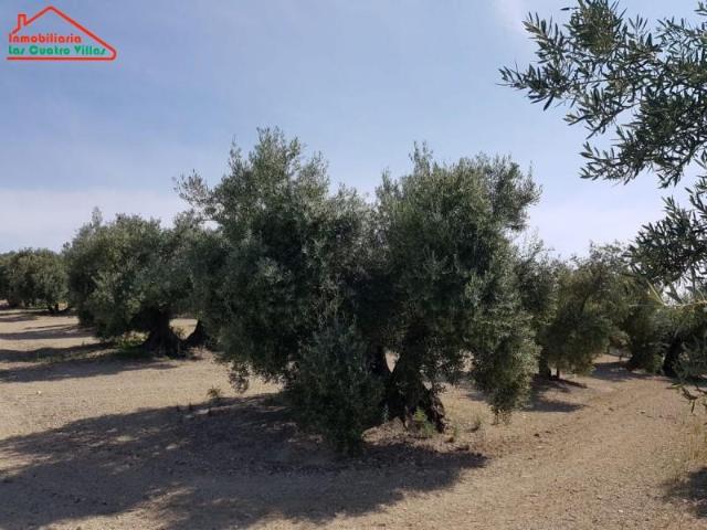 Chalet en venta en Villacarrillo, Andalucía