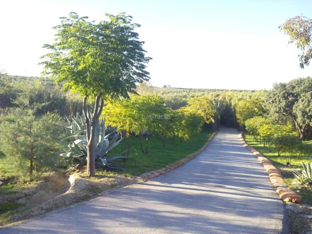 Chalet en venta en Villalba De Los Barros, Badajoz