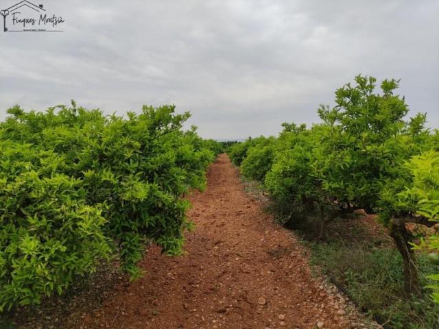 Chalet en venta en el Baix Maestrat, Valencia