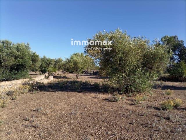 Terreno en venta en Xerta