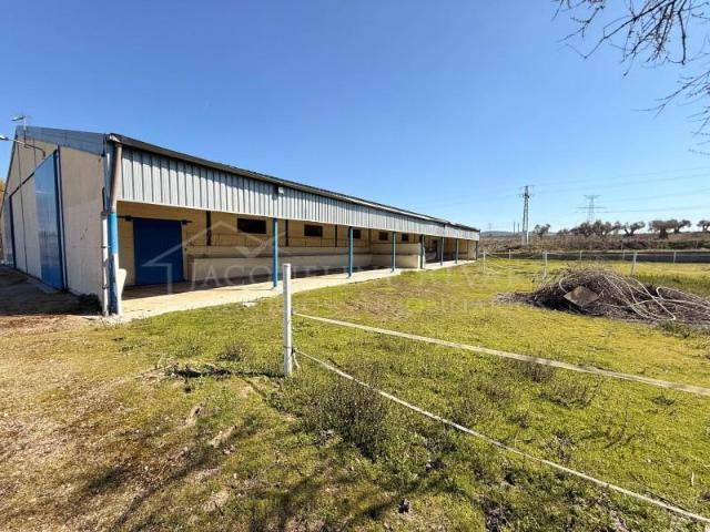 Chalet en venta en Camino de Yuncos, Yeles