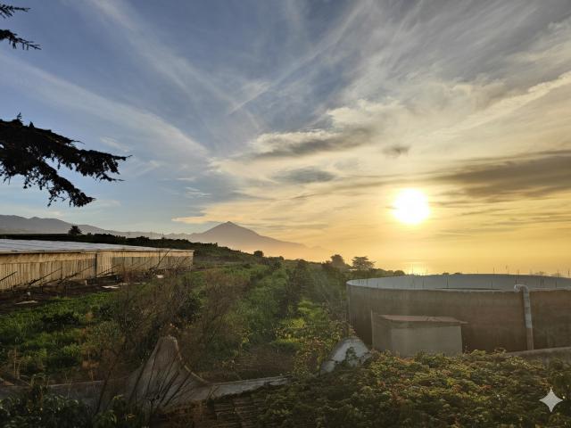 Casa en venta en Tacoronte, Canarias