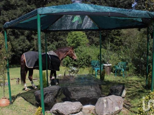 Chalet Estilo Campiña Francesa en Venta – Picacho Ajusco, CDMX