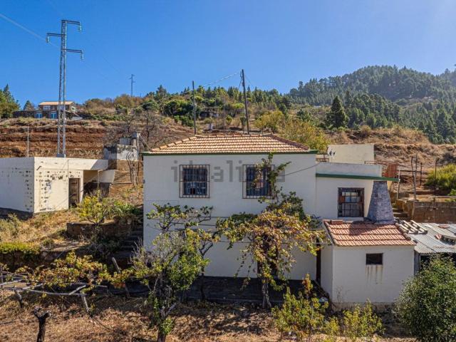 Casa en venta en Las Tricias, Canarias
