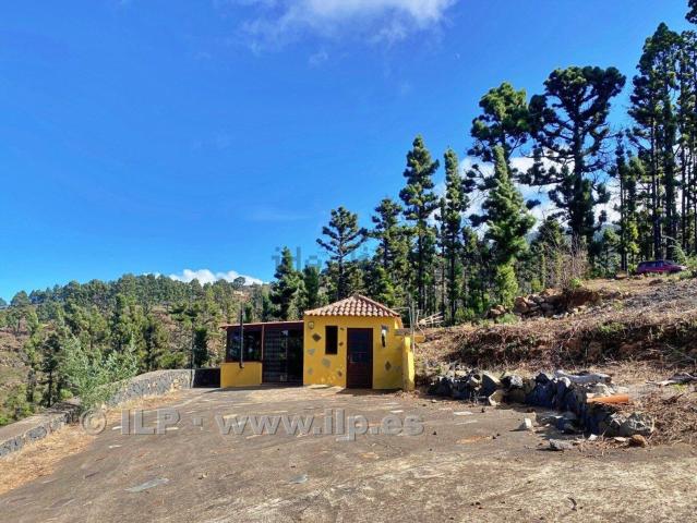 Casa en venta en Las Tricias, Canarias
