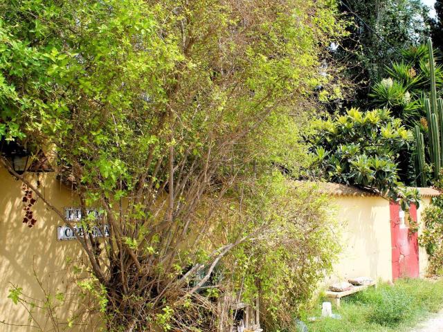 Casa en venta en Granja De Rocamora, Alicante