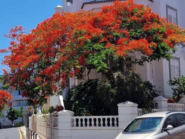 Casa en venta en Centro-Ifara, Santa Cruz de Tenerife