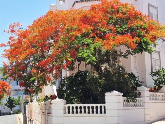 Casa en venta en Centro-Ifara, Santa Cruz de Tenerife