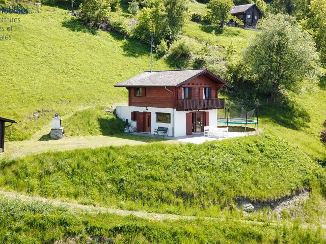 Landwirtschaft kaufen in Les Mayens-de-Sion, Wallis