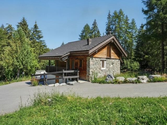 Haus kaufen in Baar, Nendaz, Wallis