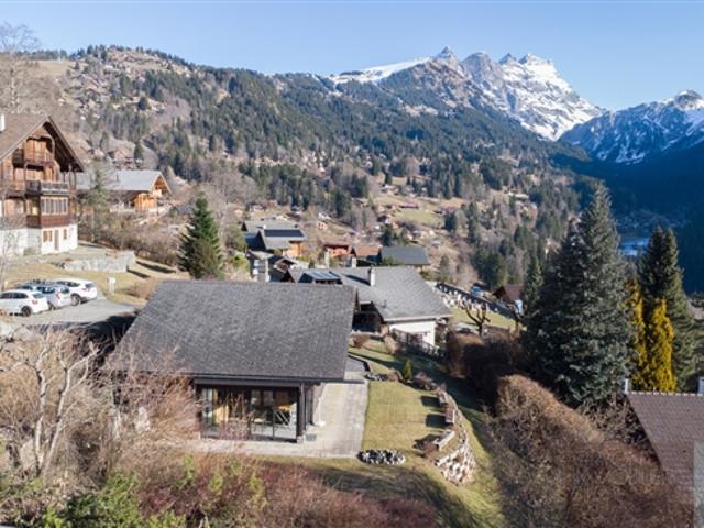 Haus kaufen in Gryon, Waadt