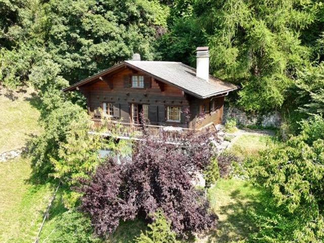Haus kaufen in Isérables, Wallis