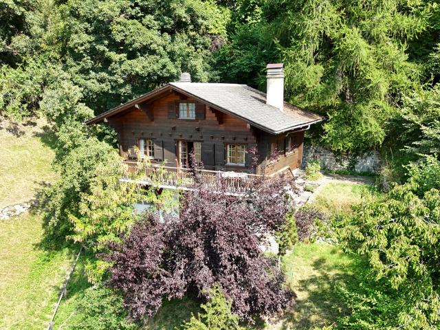 Haus kaufen in Isérables, Wallis