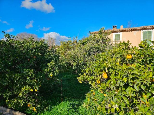 Casa en venta en Crist Rei, Raiguer