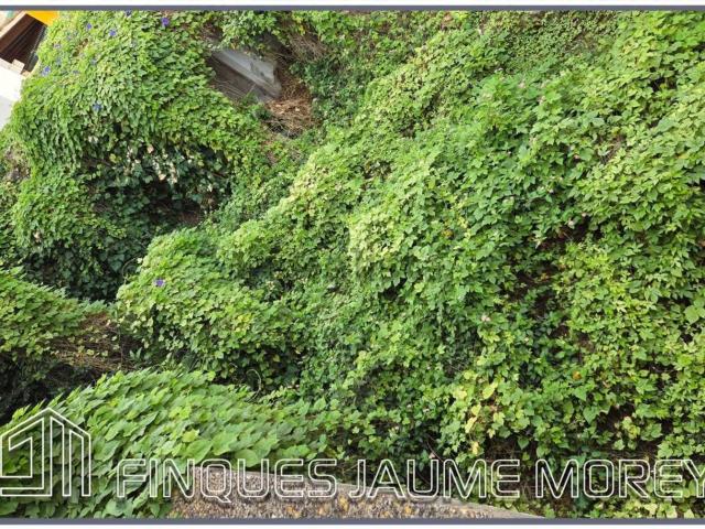 Casa en venta en es Blanquer, Inca