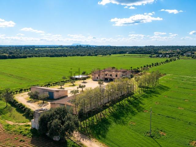 Casa en venta en Crist Rei, Raiguer