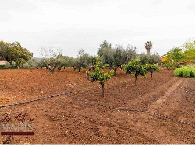 Casa en venta en Tierra de Badajoz, Extremadura