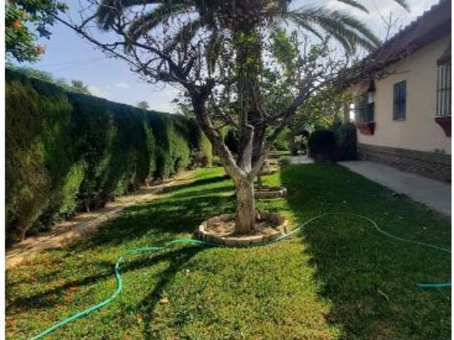 Casa en venta en El Pino, Carmona