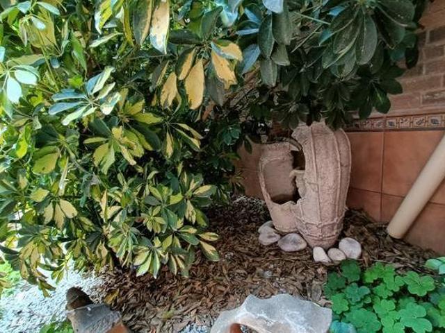 Casa en alquiler en Alicante, Valencia