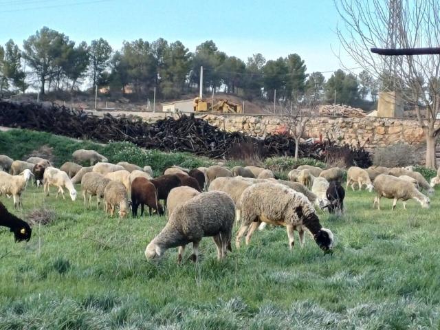 Chalet en venta en Penén de Albosa, La Plana de Utiel-Requena
