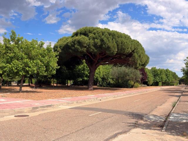 Chalet en venta en Viana De Cega, Castilla y León