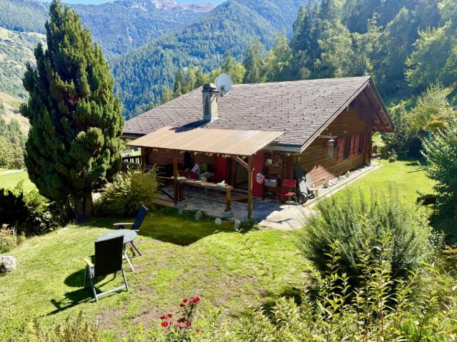 Haus kaufen in Basse-Nendaz, Nendaz