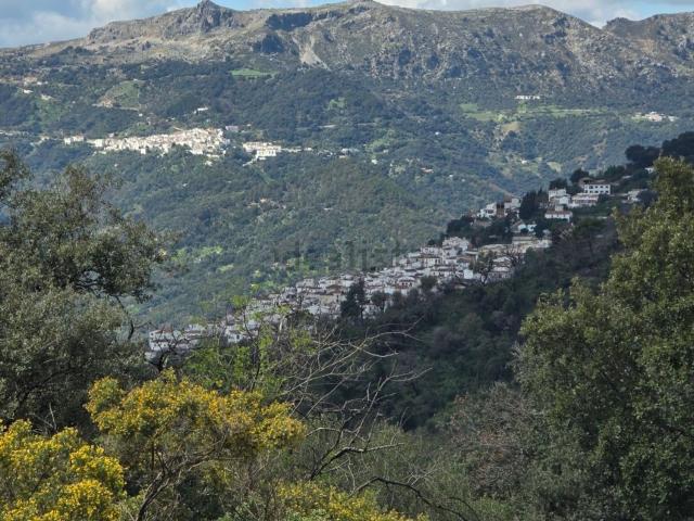 Casa en venta en Jubrique