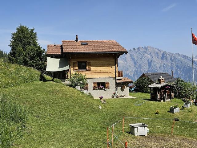 Haus kaufen in Riddes, Wallis