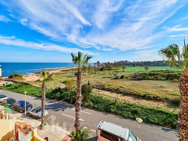 Casa en alquiler en Urbanización Punta Prima, el Baix Segura / La Vega Baja