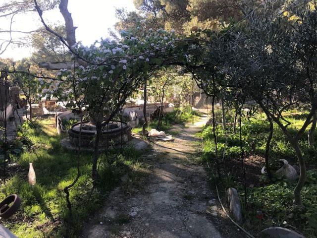 Casa en venta en Hoya de Huesca / Plana de Uesca, Aragón