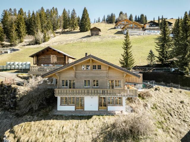 Immobilie kaufen in Lenk Im Simmental, Bern