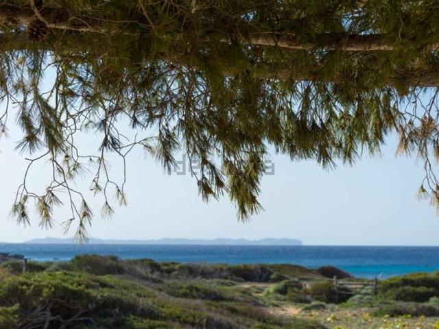 Casa en alquiler en Llucmajor, Migjorn