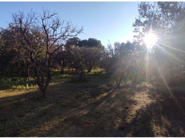 Casa en venta en Paradas, Andalucía