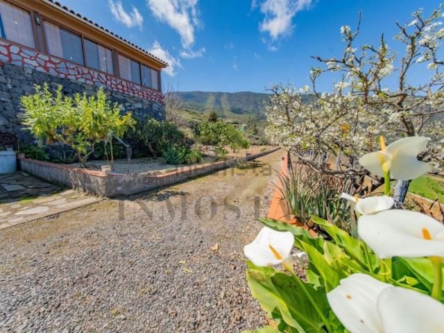 Casa en venta en Realejo Alto, Los Realejos