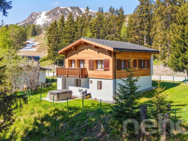 Haus kaufen in Vex, Wallis