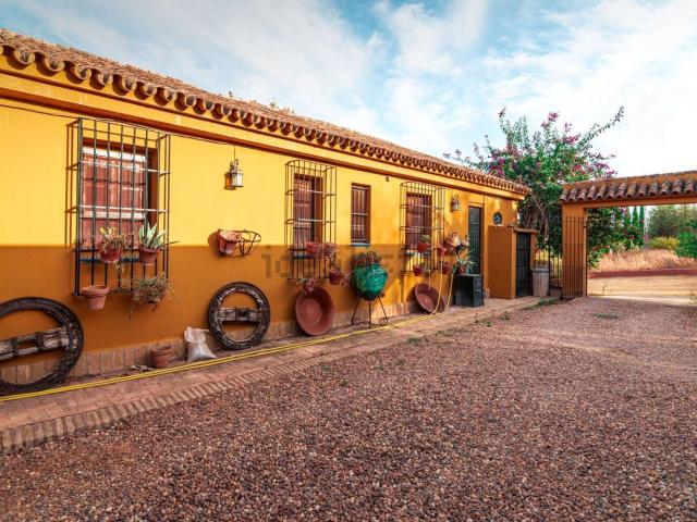 Casa en venta en Mairena del Alcor, Sevilla