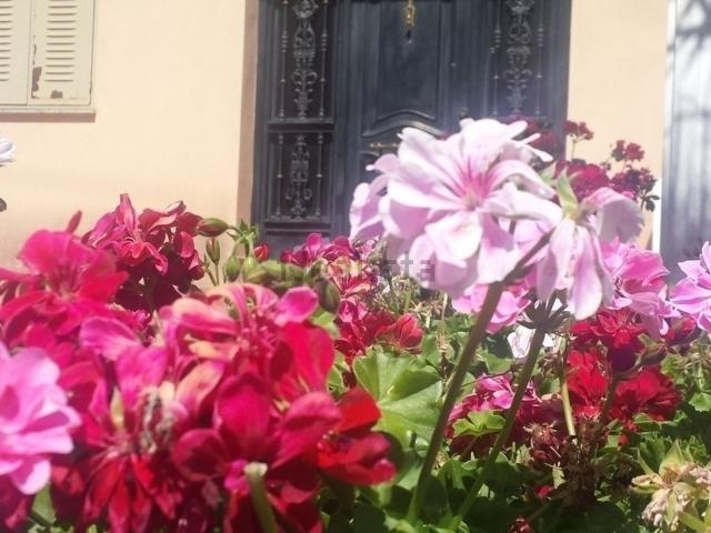 Casa en venta en Majadas, Cáceres