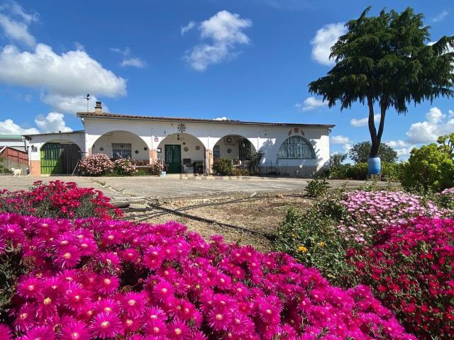 Casa en venta en Miajadas, Cáceres