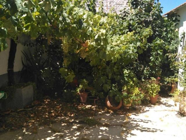 Casa en venta en Minaya, Castilla-La Mancha
