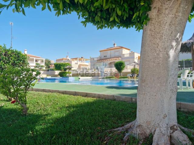 Casa en alquiler en Cabo Cervera-Playa la Mata, el Baix Segura / La Vega Baja